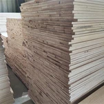 לוח משותף אצבע פאולוניה